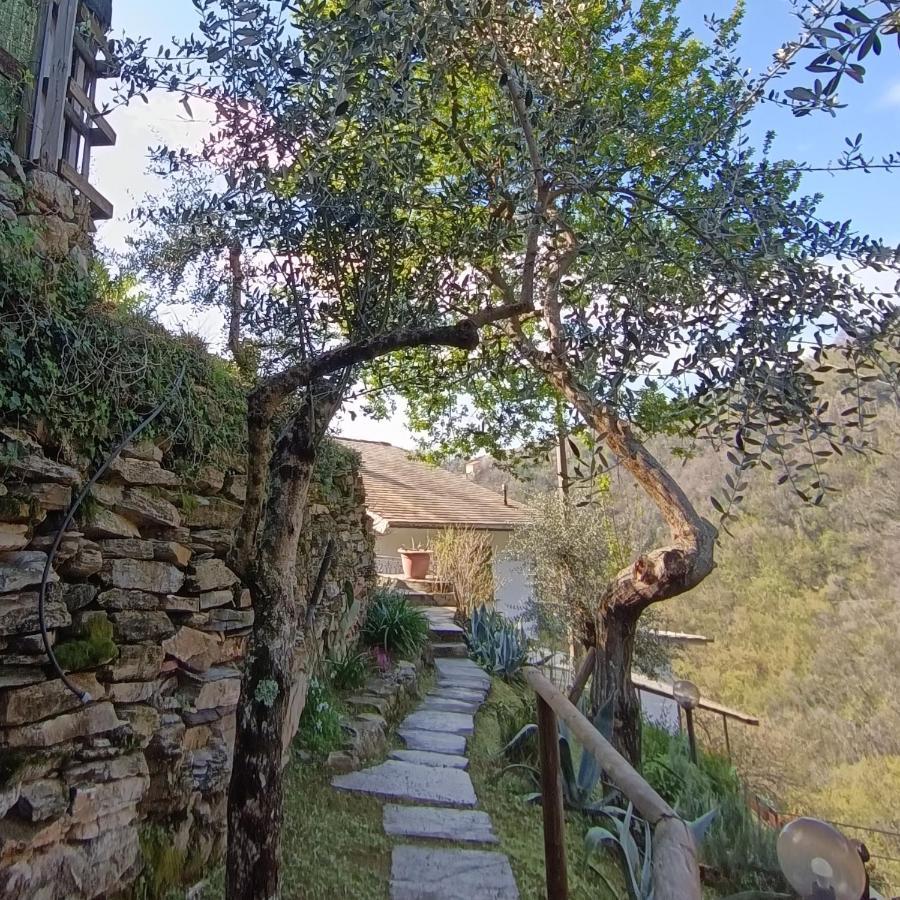Tottavilla Affittacamere Campodonico  Exterior photo
